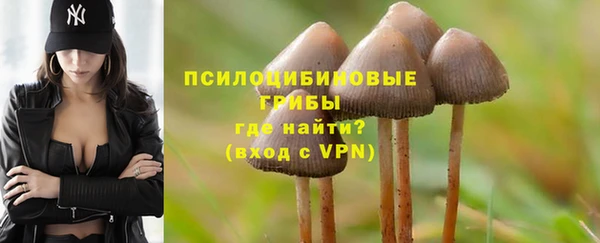 apvp Яровое