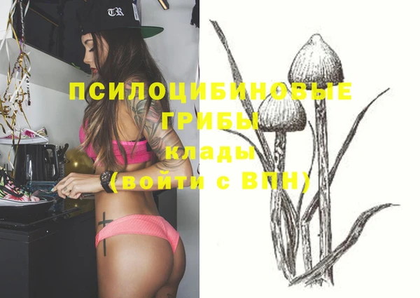 спиды Иноземцево