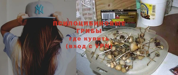 Альфа ПВП Яранск